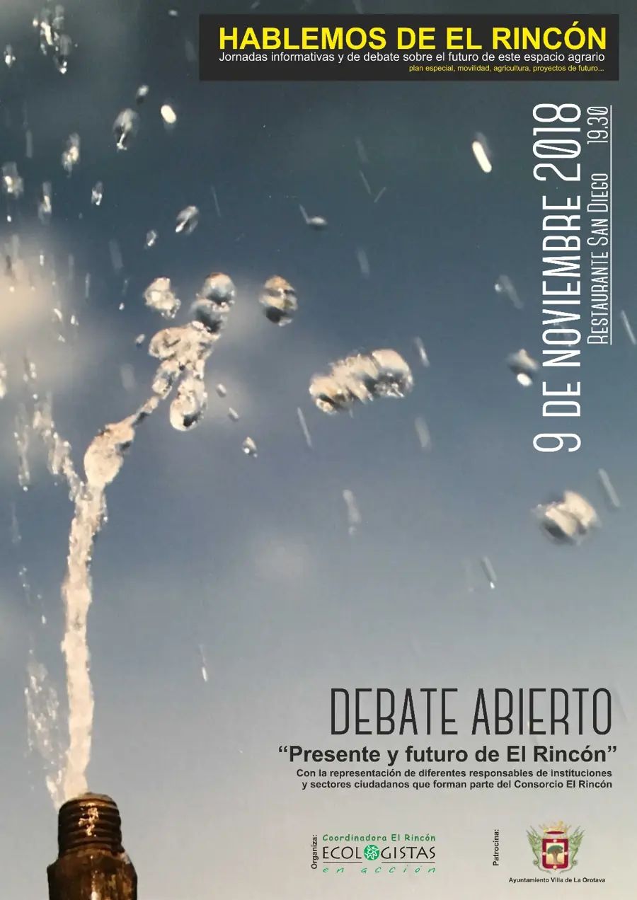Cartel del evento - Debate abierto - Presente y futuro de EL Rincón