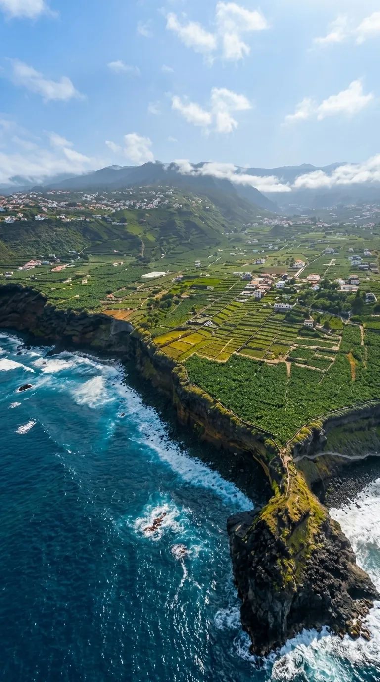 Vista aérea del espacio agrario de El Rincón