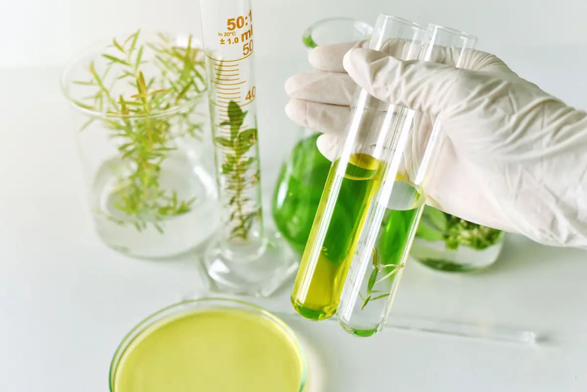 El Rincón - Laboratorio de experiencias ecosociales