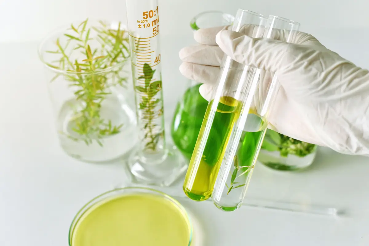 El Rincón - Laboratorio de experiencias ecosociales
