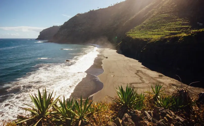"El Rincón Salvado": una visión personal que la ciudadanía nunca pidió