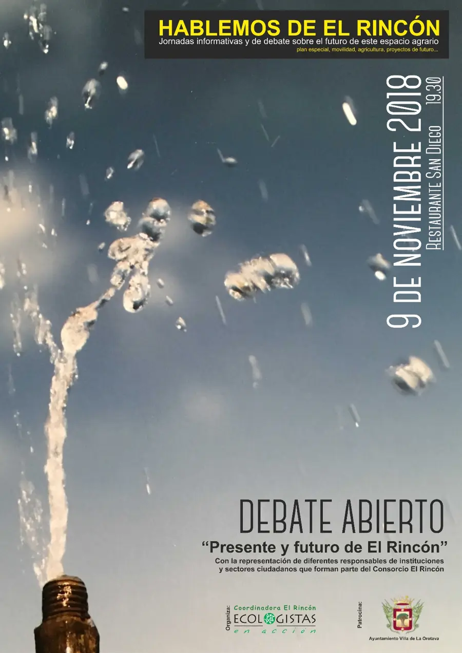 Cartel del evento - Debate abierto - Presente y futuro de EL Rincón